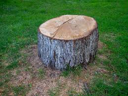 How Our Tree Care Process Works  in  Gardendale, AL